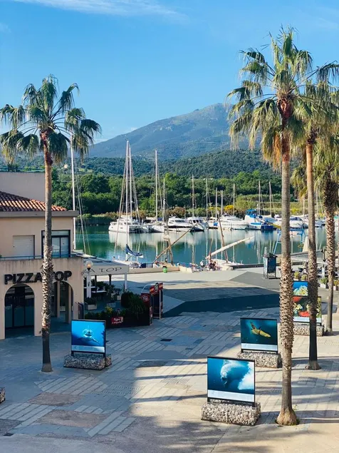 Le Vermeille Apartment, View of Sea Port and Mountain - Image 1