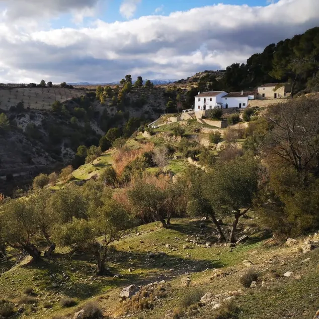 Cortijo la Huerta - Image 1