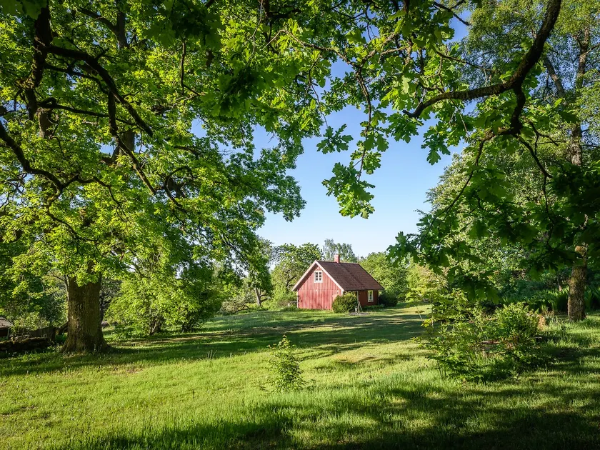 Cottage in the middle of nature with wonderful garden - Image 1