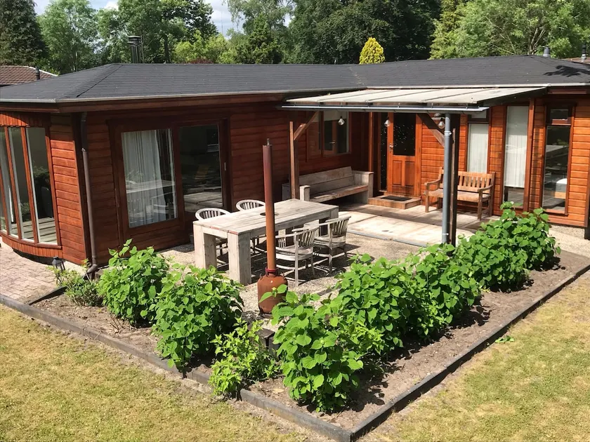 Cozy chalet in forest on the Veluwe - Image 1