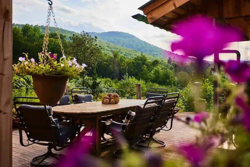 ADK Mountaintop Chalet, 15 acres, Birch Tree Camp - Image 1