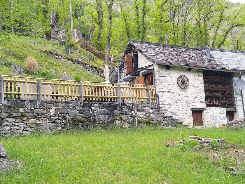 Rustic Cansgei - Image 1