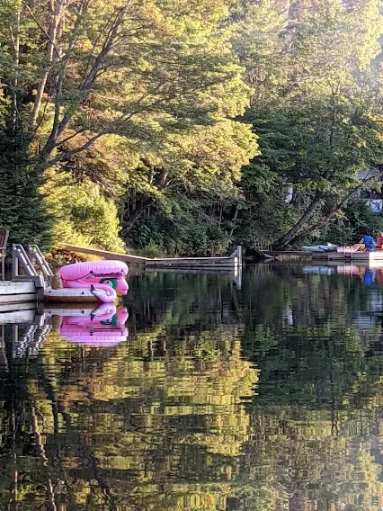 Dog friendly Muskoka. Fun from forest to river. - Image 1