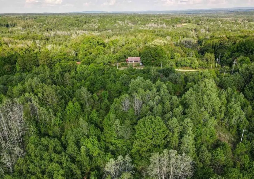 Secluded Nature Cottage · Dog-Friendly · 1h Zagreb - Image 1