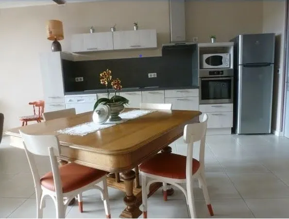 SPACIOUS APARTMENT WITH LARGE TERRACE - Image 1