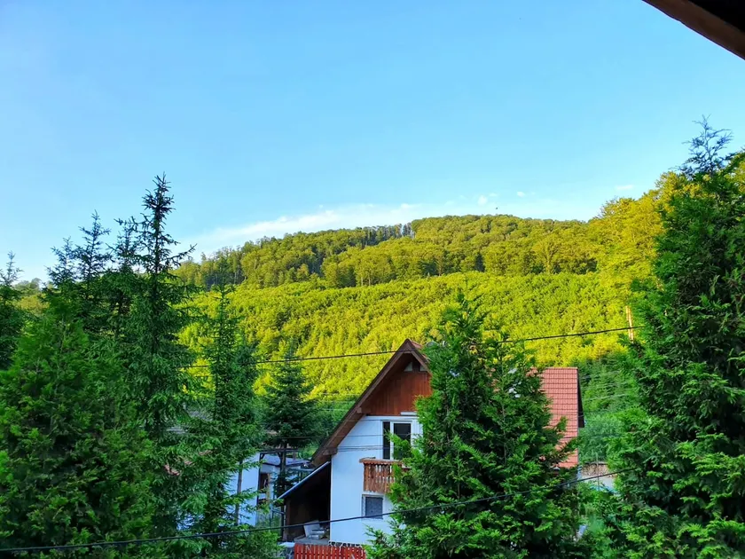 Cozy villa in the middle of nature with fireplace - Image 1