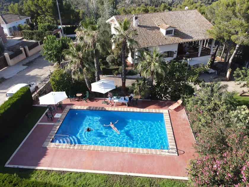 Impressive House Surrounded by Pine Trees - Image 1
