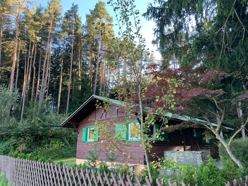 Waldchalet am Eichhof - Image 1