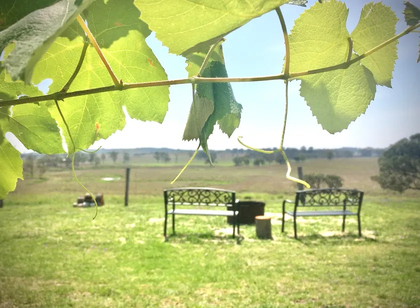 Galbraith Farmhouse - stylish haven with fire pit - Image 1