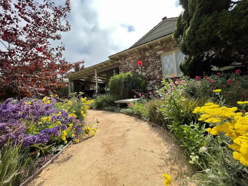 Cheerful Home&Botanic landscape - Image 1