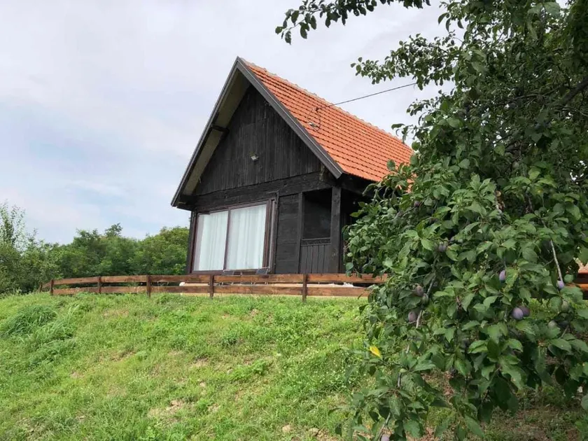Cottage with 1 bedroom 3 Zavicaj Trudelj - Image 1