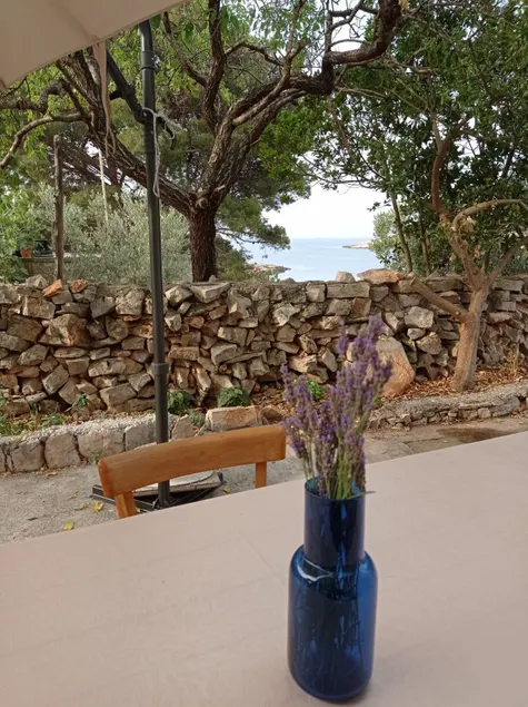 Žirje Island, Pečenja Bay, apartment near the beach. - Image 1