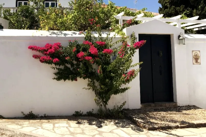 Pleasant Mansion With Garden! - Image 1