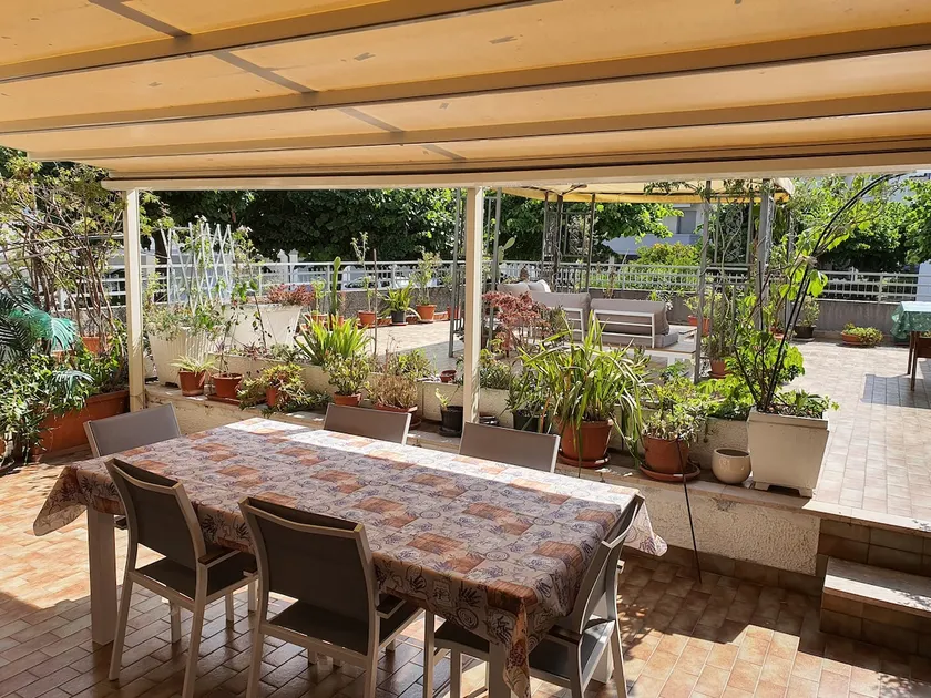 Eva's terraces - Image 1