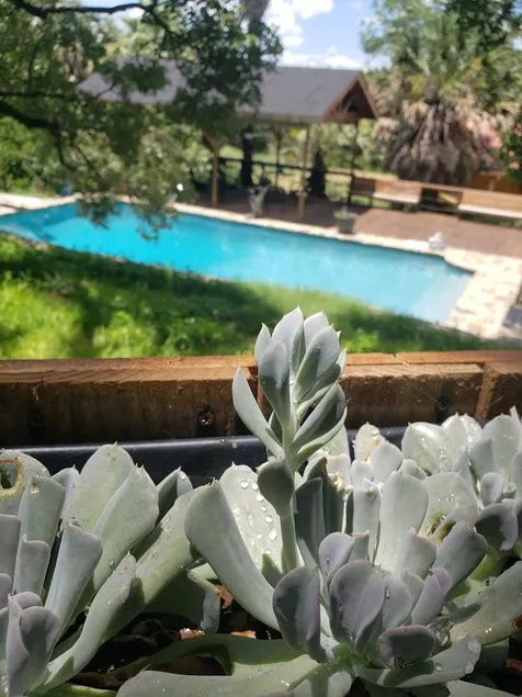 Luxury Studio Cottage - Image 1