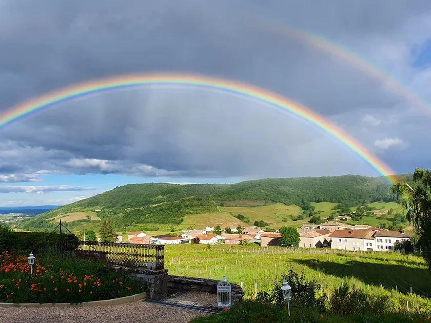 In the heart of Beaujolais - Image 1
