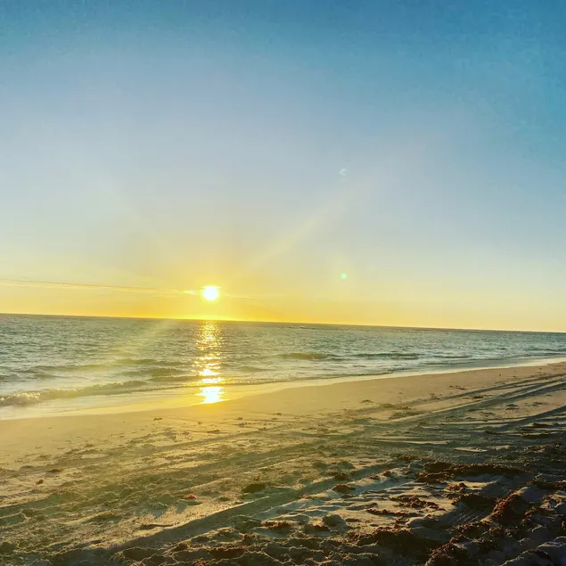 Shore 2 please - Image 1