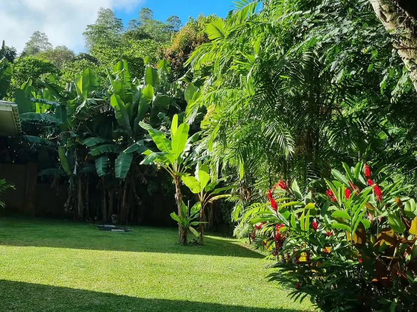 Beau Bassin Inn Self Catering - Image 1