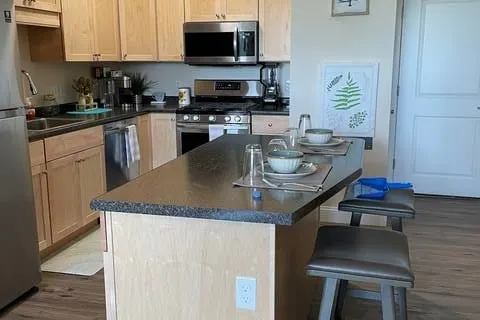 Lovely 1 bedroom Apartment- Onsite dog park. - Image 1