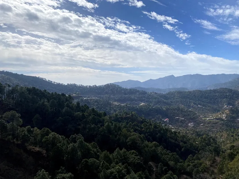 Hillside Hideaway Valley-View Pine Retreat, Barog - Image 1