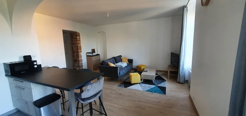 Luxury apartment in the center of Mâcon 50 m2 - Image 1