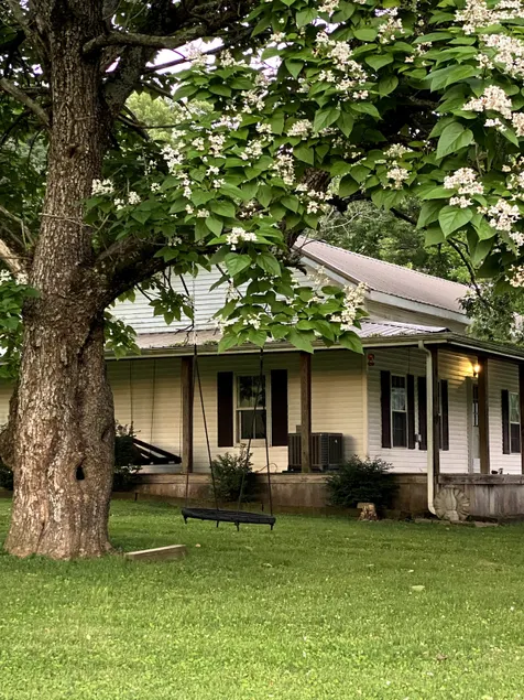 Seven Oaks Cottage - Image 1