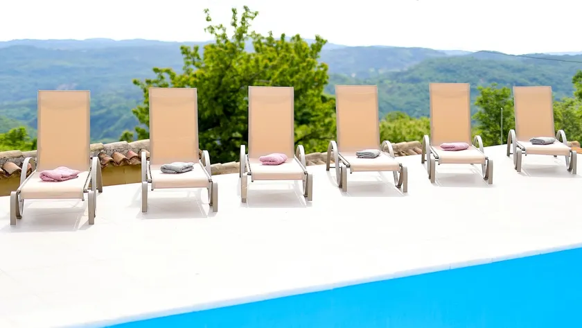 Villa Kristina - Swimming pool, Dolenja Vas - Istra - Image 1
