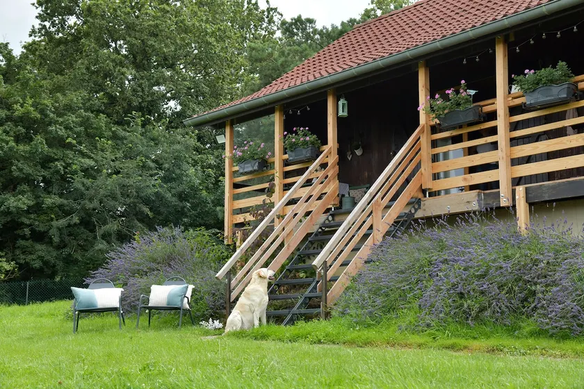 Eliot's cottage, loft in a green setting - Image 1