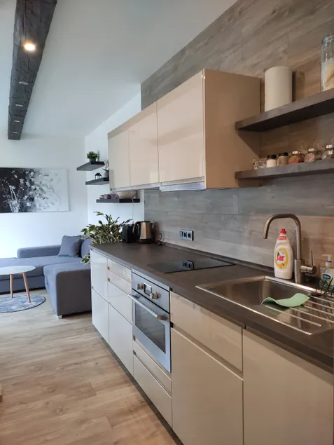 Dachstein Apartment - Image 1
