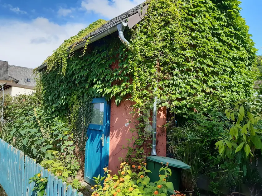 Charming, small guest house with terrace. - Image 1