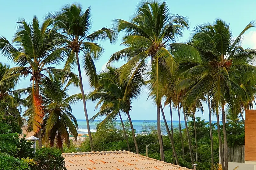 Beautiful apt 4 min from beach - Image 1