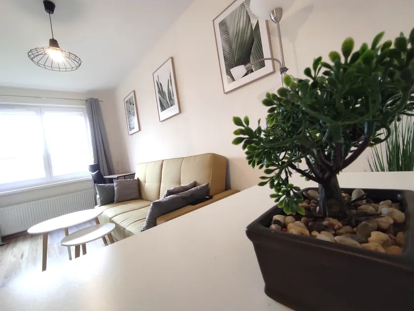 Casablanca Apartment - Rybnik. - Image 1