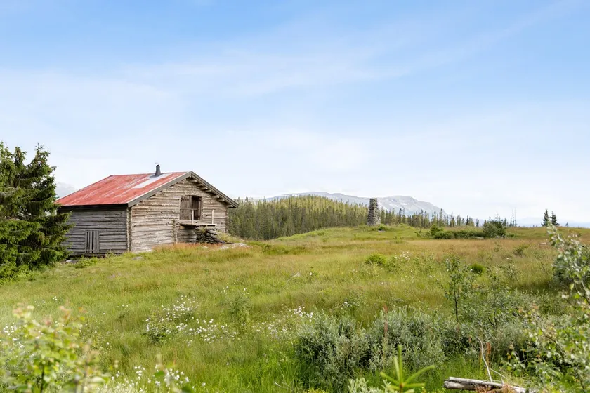 Remote mountain cabin hideaway - Image 1