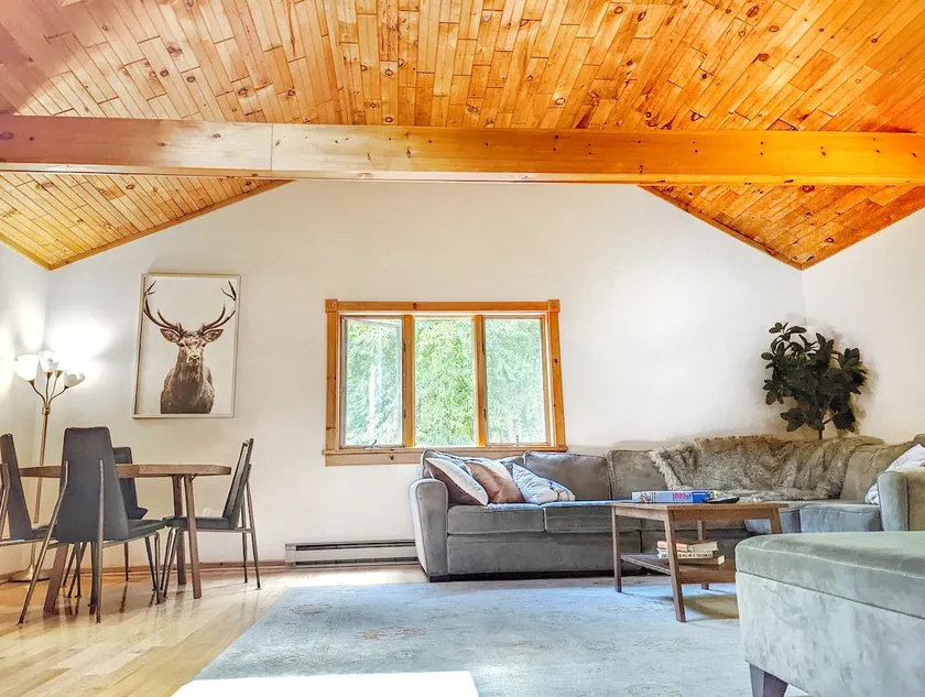 Open Concept Cozy Secluded Cabin - Pet Friendly - Image 1