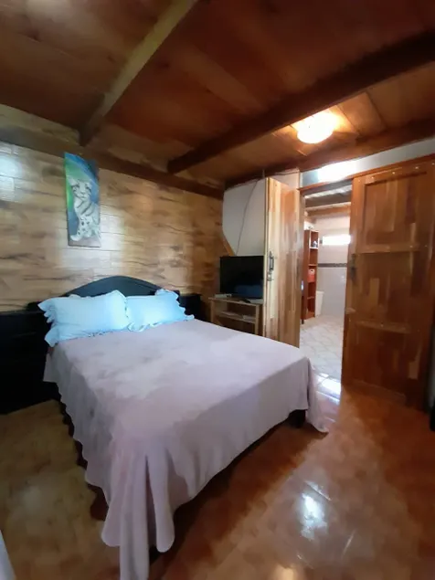 Fully equipped apartments and tour operator. - Image 1