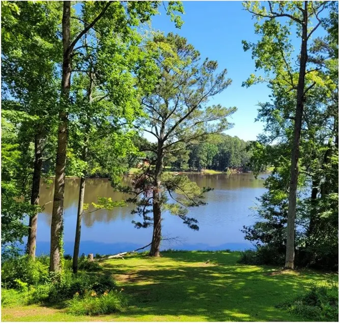Lakefront Retreat with Breathtaking views! - Image 1