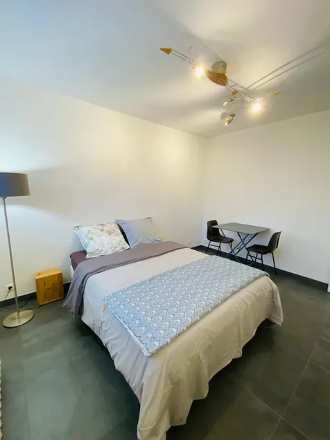 Bedroom/bathroom/fridge/microwave in large house - Image 1
