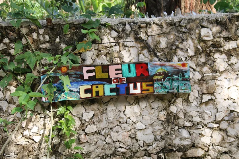 Fleur de Cactus - Image 1