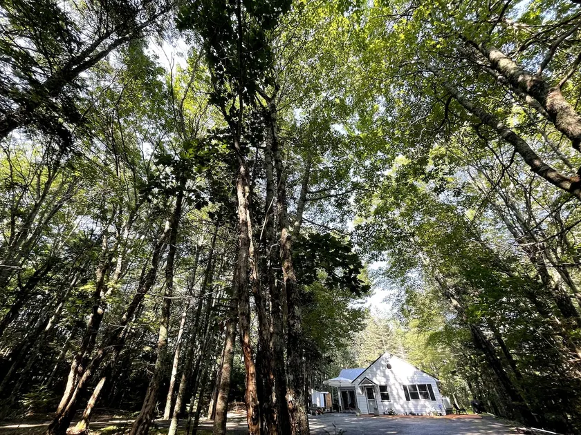 Vacation Cottage in Bar Harbor - Image 1