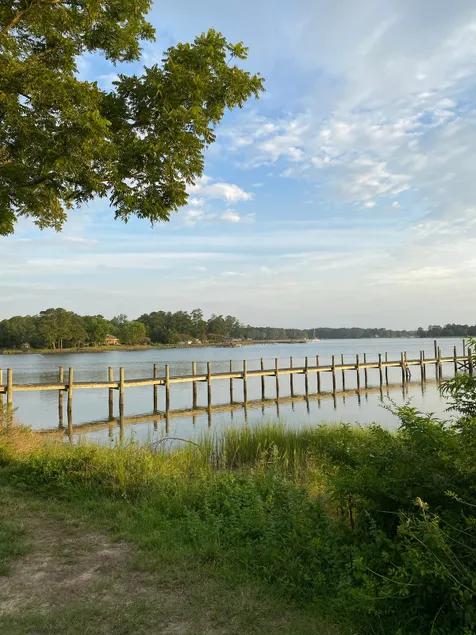 Haddie James House - A Coastal Va AirBnB - Image 1