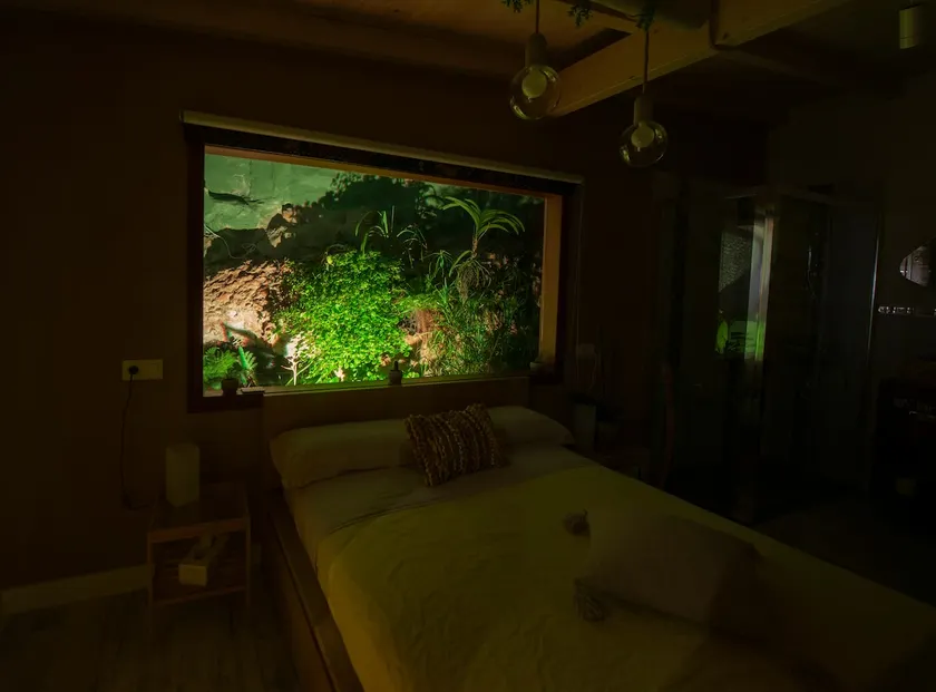 Ideal apartment for a total disconnection - Image 1