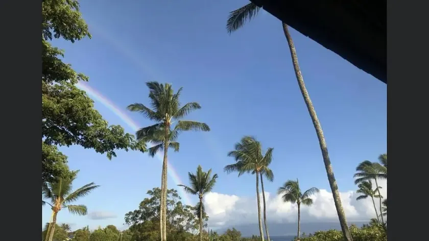 MAUI Beauty ~Tropical Napili Bay ~ 1 BR King ~ AC! - Image 1