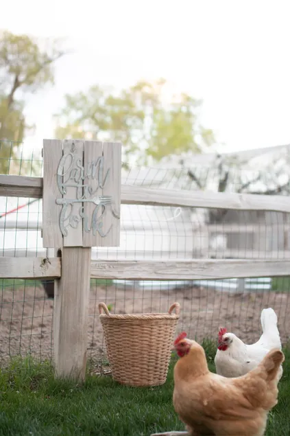 The Roost - Image 1