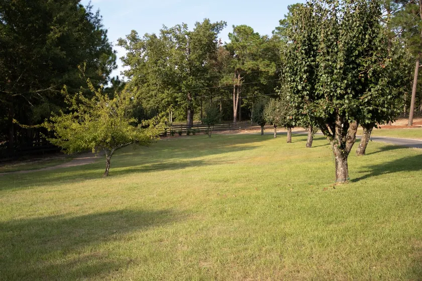 Spacious 4BR/2BA Retreat | - Image 1
