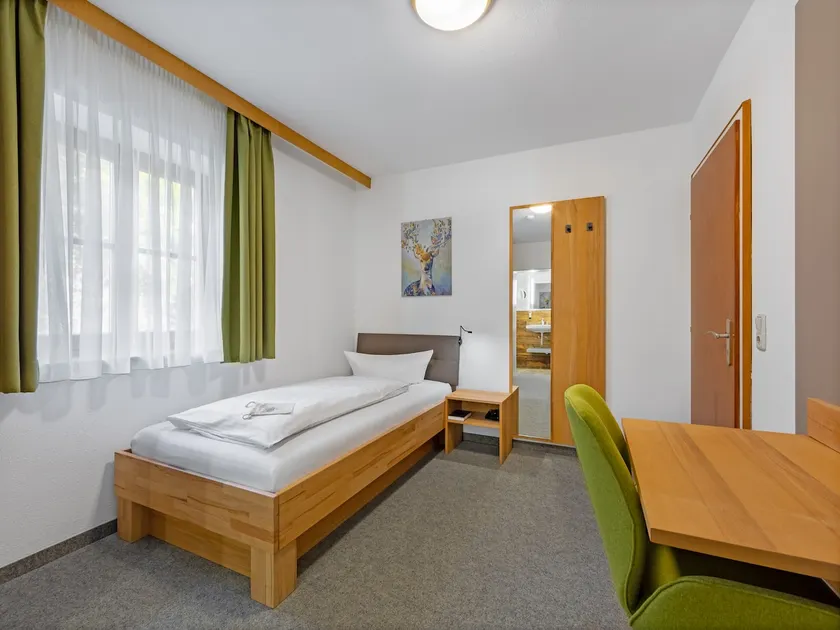 Bright room with mountain view, Bründlsberggasse - Image 1
