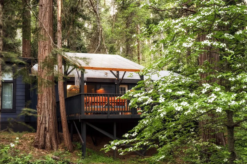 Secluded modern creekside getaway - Image 1