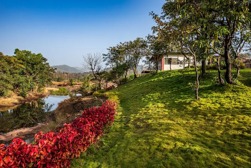 CosmicStays Lazy River Cottage-Stargazers Paradise - Image 1