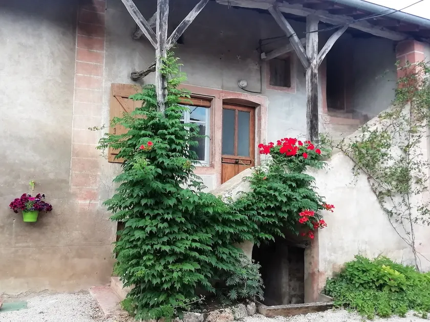 Independent accommodation. The MOJA house - Image 1
