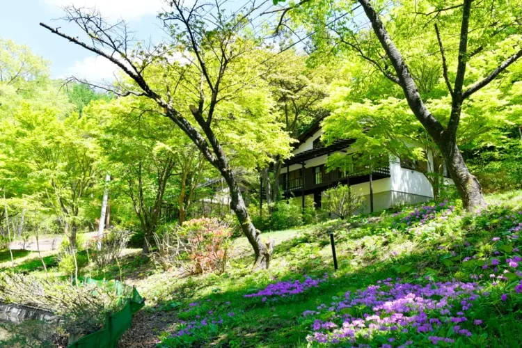 Dog-friendly lakeside cottage by Wamiko lake - Image 1