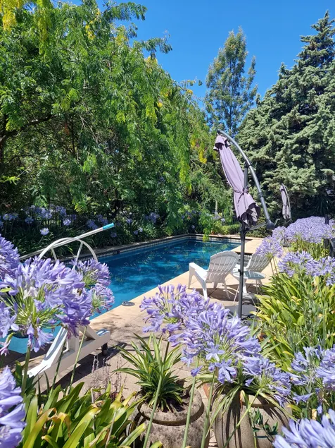 Pool House - Image 1